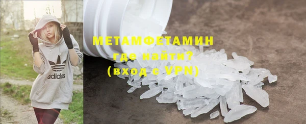 индика Гусев
