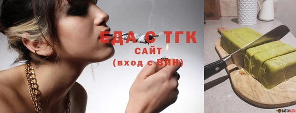 индика Гусев