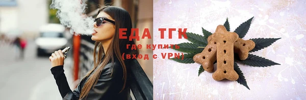 индика Гусев