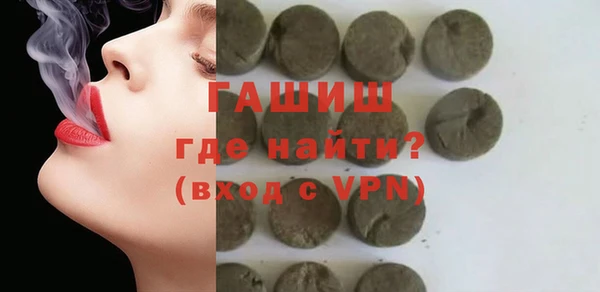 индика Гусев