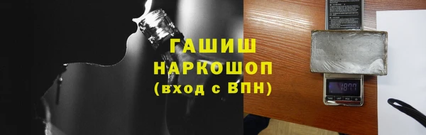 индика Гусев
