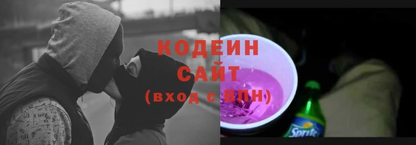 индика Гусев
