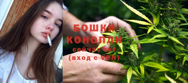 альфа пвп Гусиноозёрск