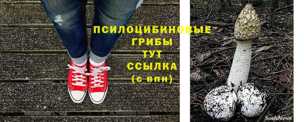 индика Гусев