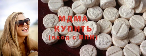 индика Гусев