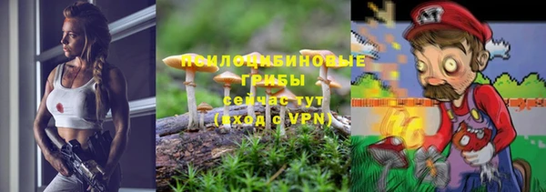 хмурый Горнозаводск