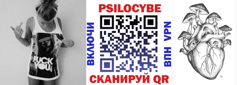 Купить где  Рузаевка  Галлюциногенные грибы Psilocybe 